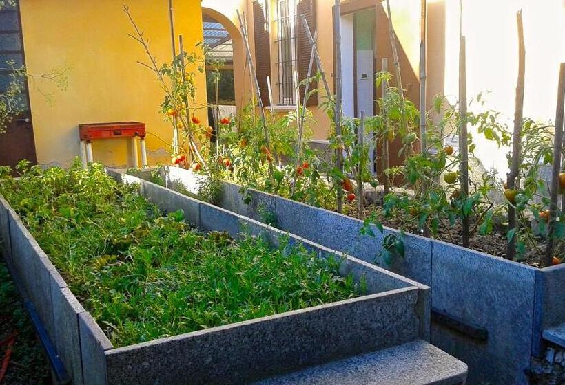 مبيت وإفطار Swanlake Rooms