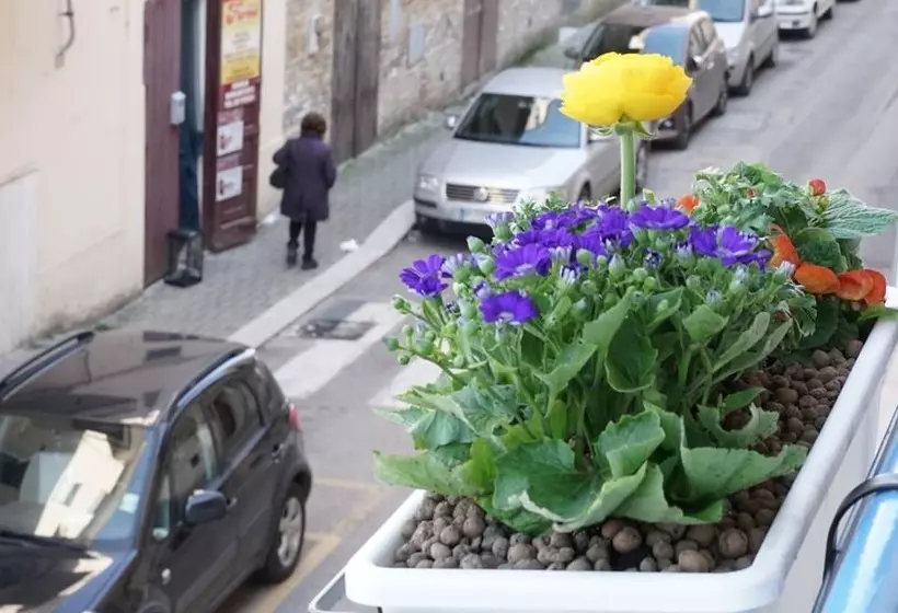 تختخواب و صبحانه La Casa Dei Sogni