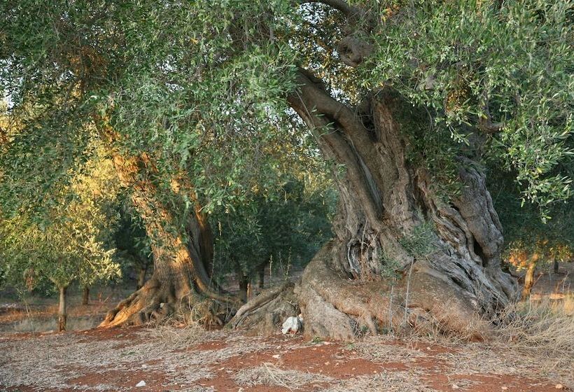 Rezydencja Masseria Montecchie