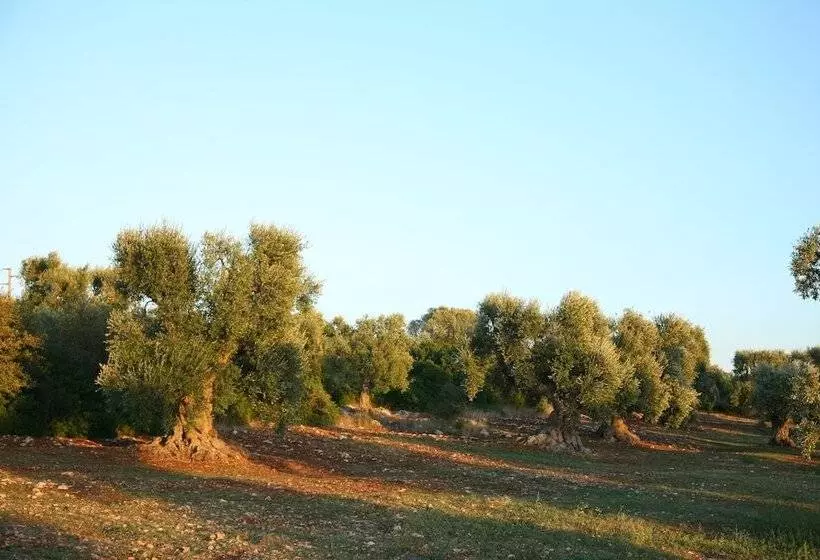 レジデンス Masseria Montecchie