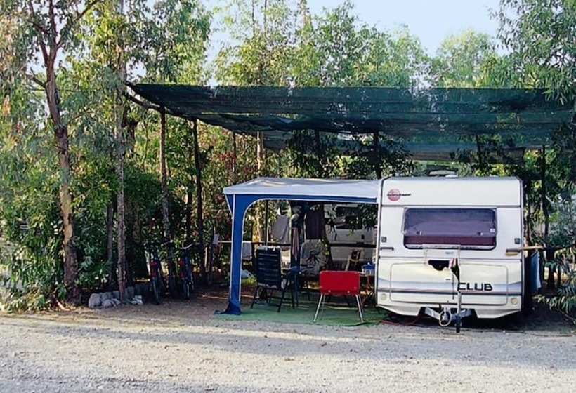 渡假胜地  International Camping Village