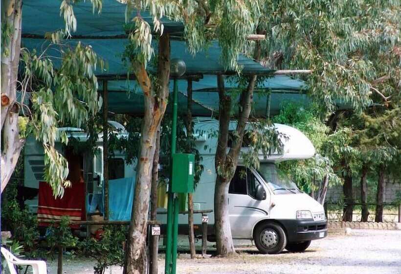 渡假胜地  International Camping Village