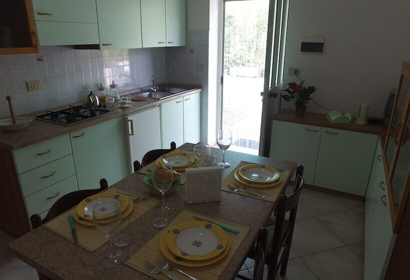 渡假胜地  International Camping Village