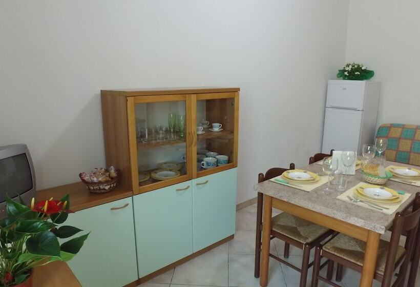 渡假胜地  International Camping Village