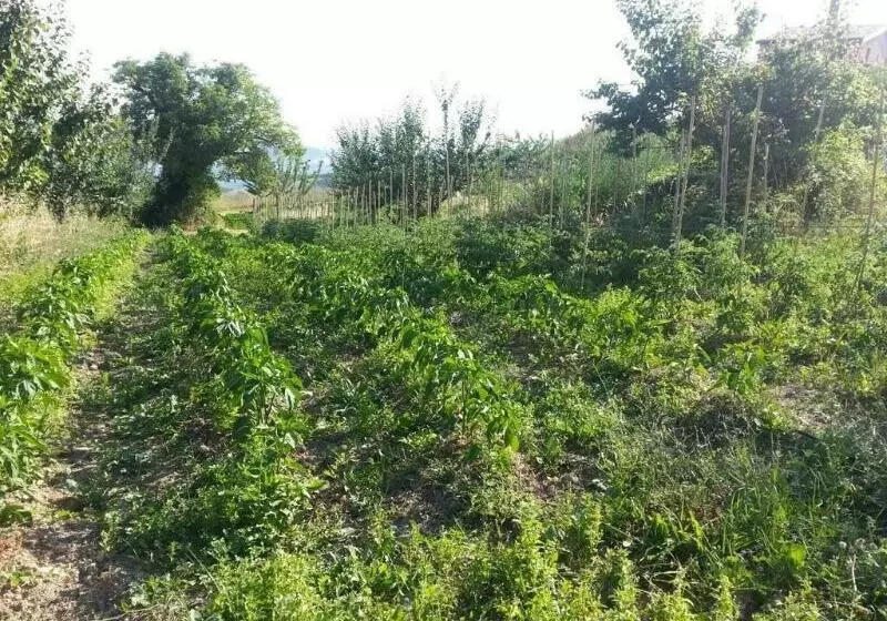 Agriturismo Eutopia