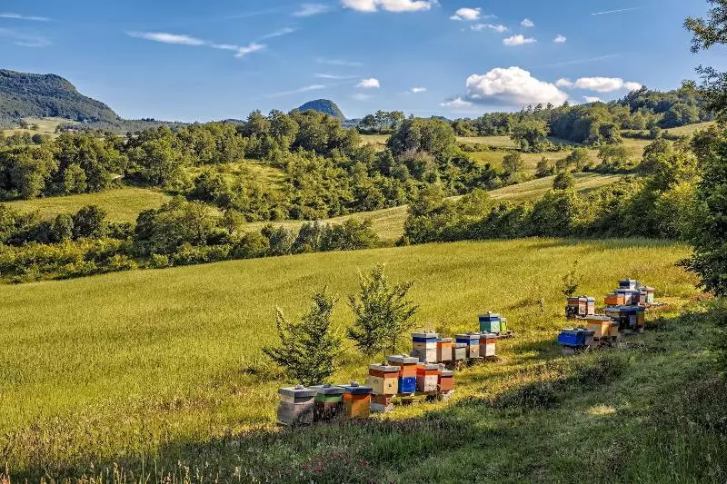 Agriturismo Eutopia