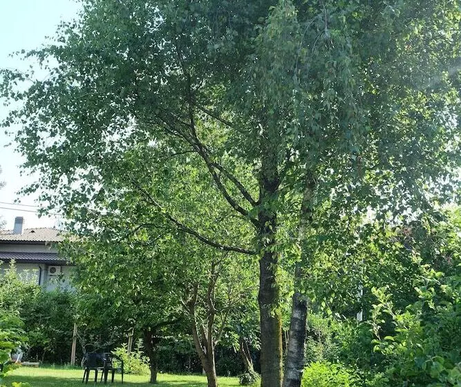 Aria Di Casa B&b