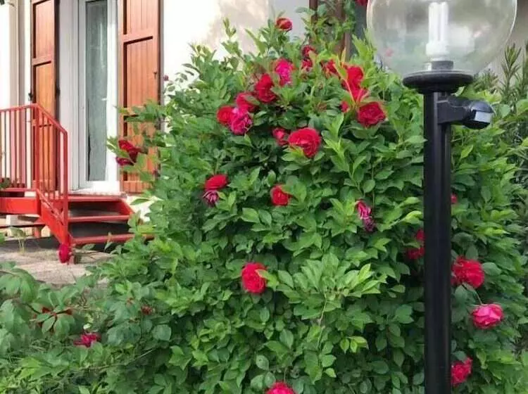 Aria Di Casa B&b