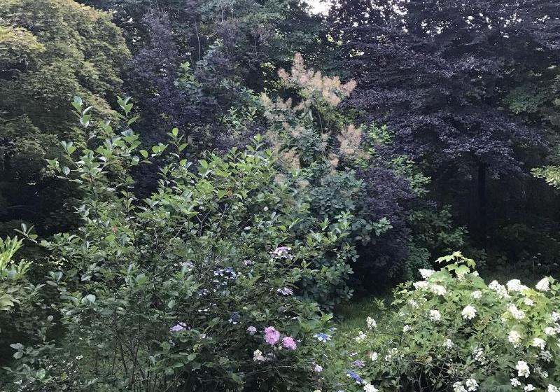 צימר La Casa Blu Di Monasteto