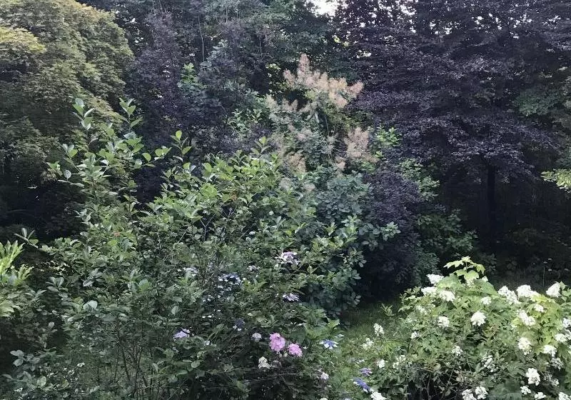 Aamiaismajoitus (B&B) La Casa Blu Di Monasteto