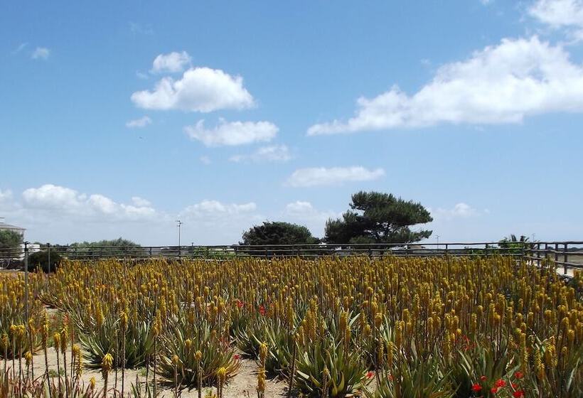 בית מלון כפרי Il Giardino Delle Aloe