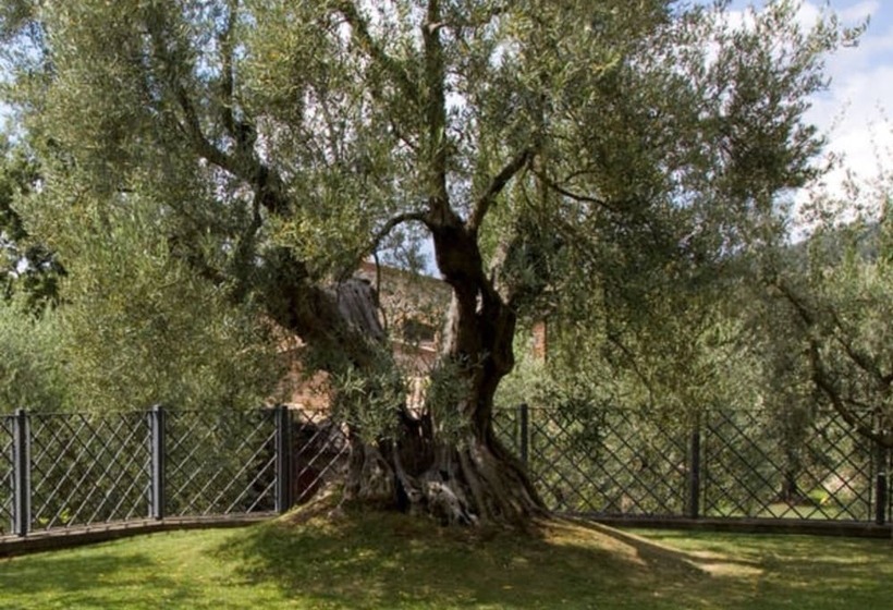 פנסיון Relais Gli Ulivi