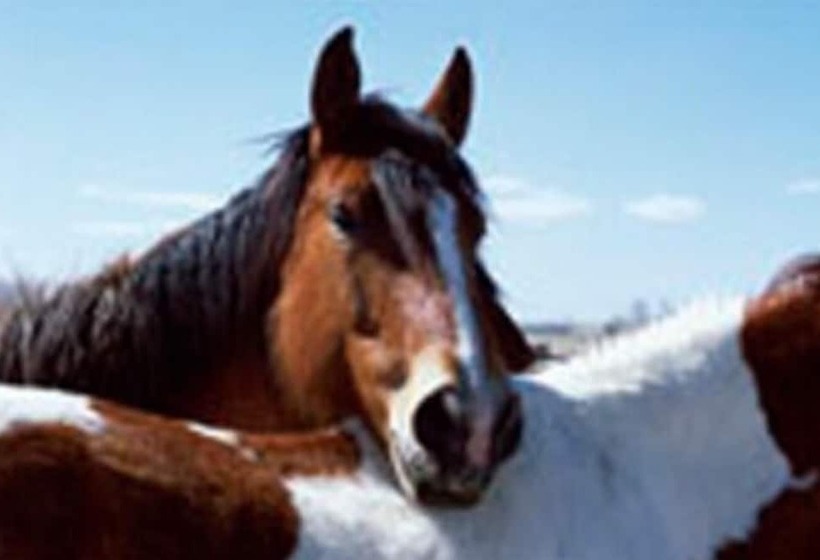 פנסיון Relais Gli Ulivi