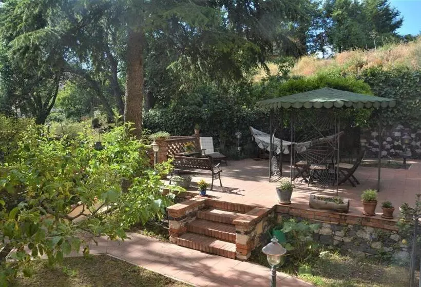 B&b Betulla Dell Etna