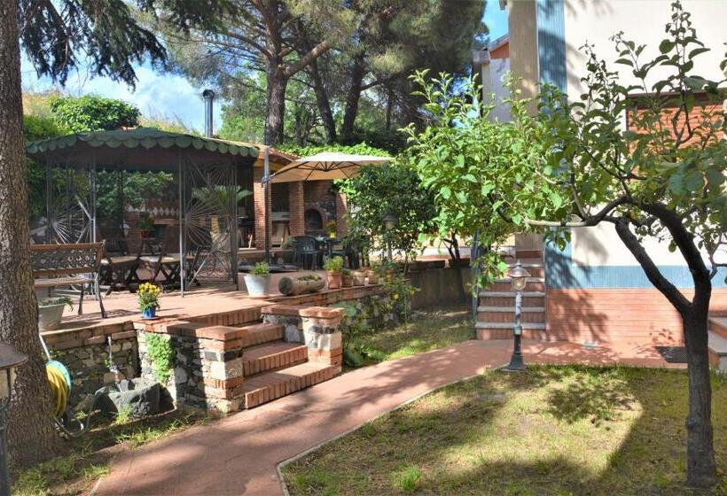 B&b Betulla Dell Etna