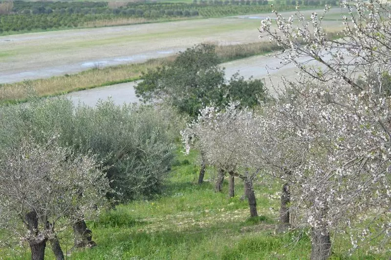 I Carusi Bio Relais