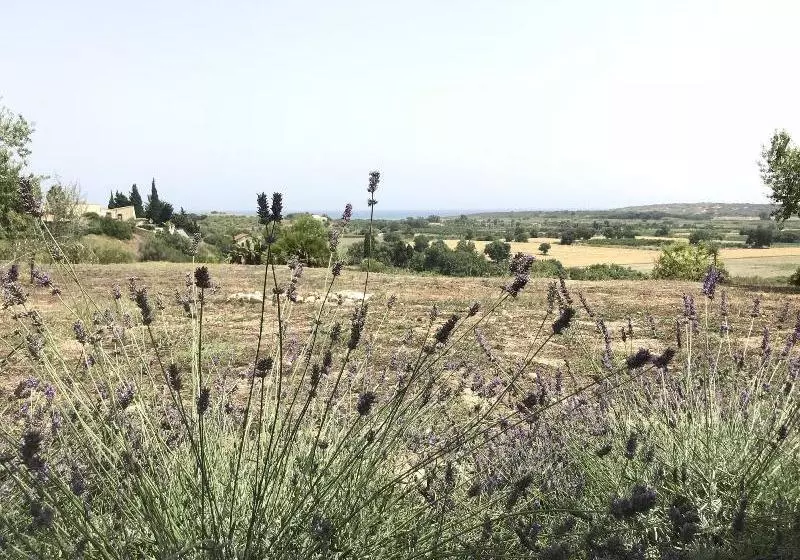 I Carusi Bio Relais