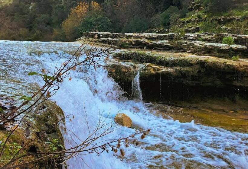 Suliscenti Dimora Siciliana B&b