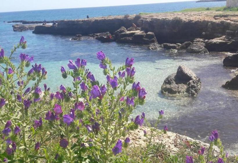 Suliscenti Dimora Siciliana B&b