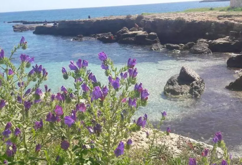 Suliscenti Dimora Siciliana B&b