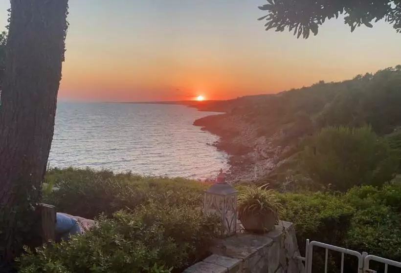 B&b Viadelmare