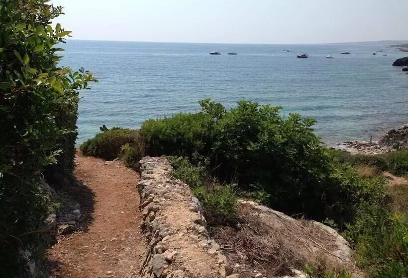 B&b Viadelmare