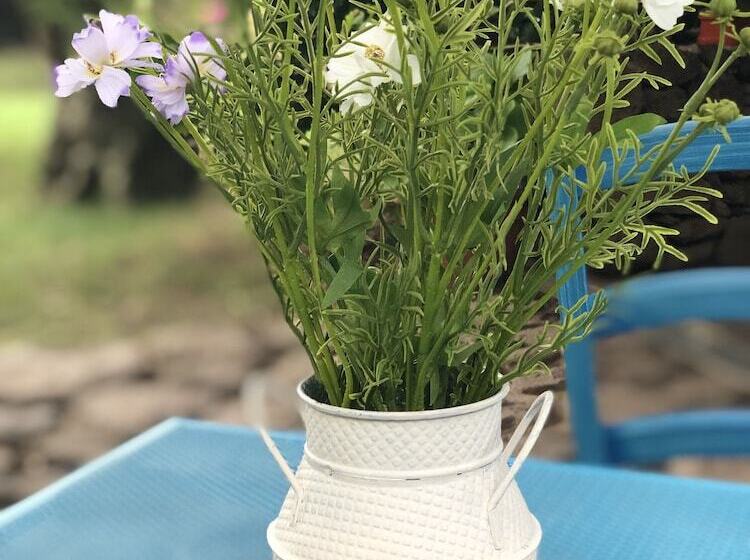 בית מלון כפרי Country House S Ozzastru