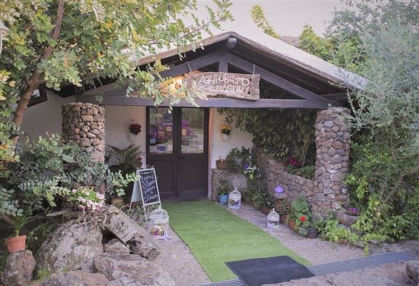 בית מלון כפרי Country House S Ozzastru