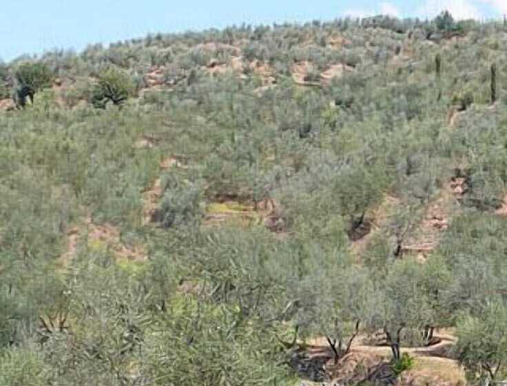 Hotel wiejski L Antico Trullo   Masseria Chiancarella