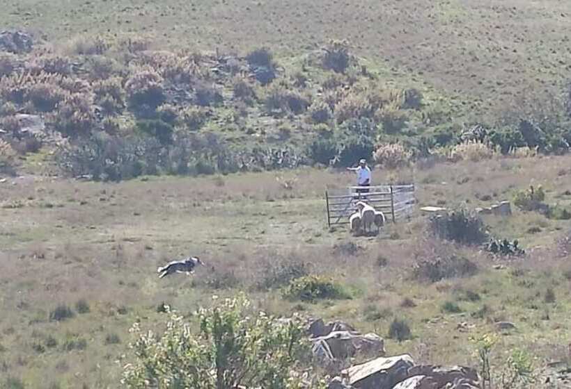 펜션 Agriturismo Pian Dei Lupi