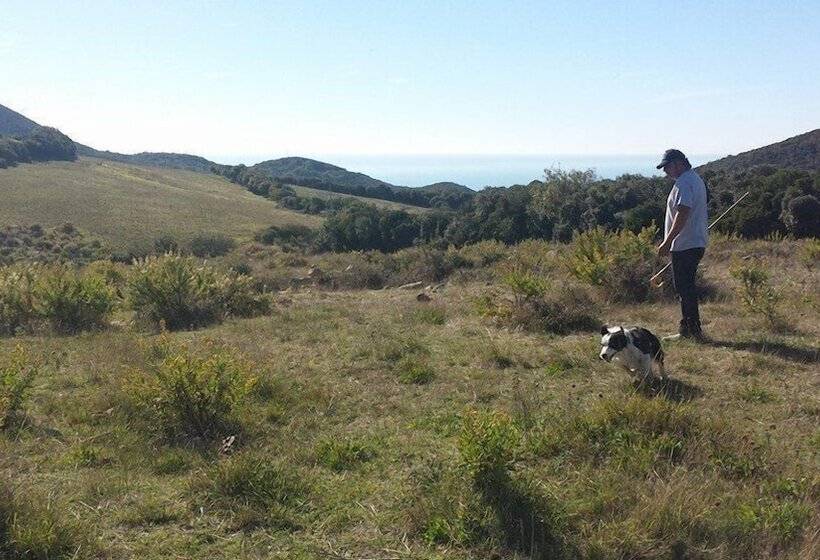 펜션 Agriturismo Pian Dei Lupi