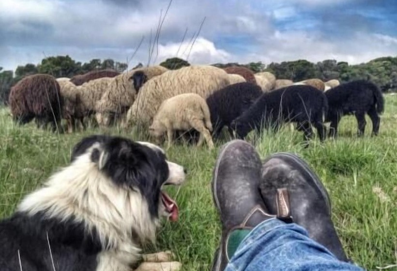 펜션 Agriturismo Pian Dei Lupi