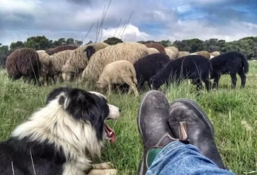 Majatalo Agriturismo Pian Dei Lupi