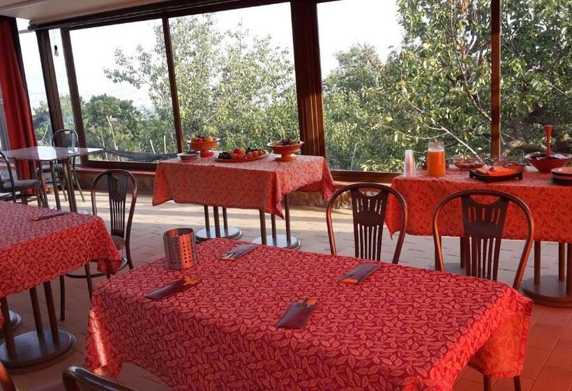 Villa Mola Bed And Breakfast