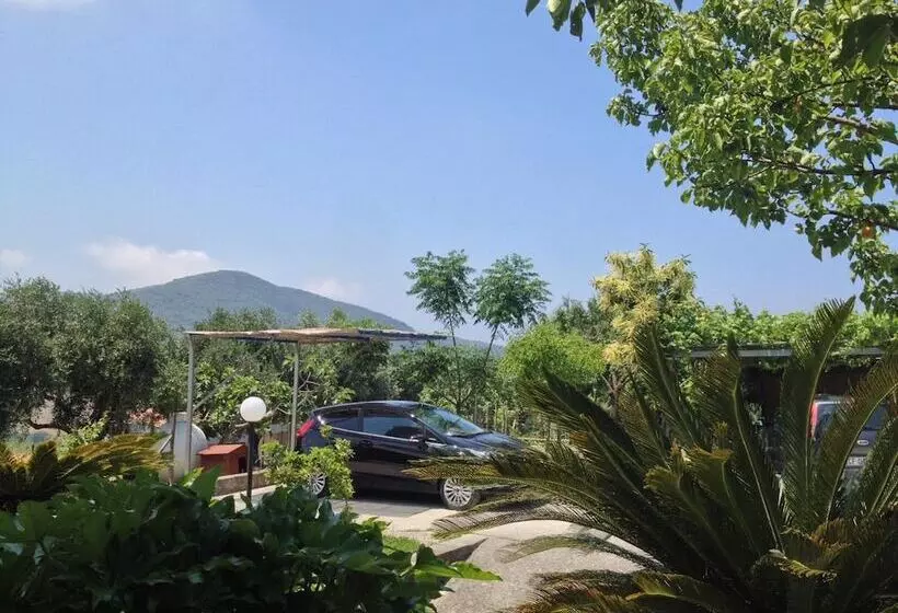 B&b Belvedere