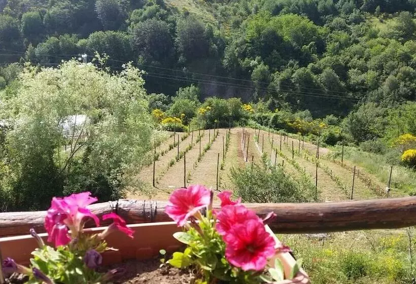 B&b Il Ghiro Country House