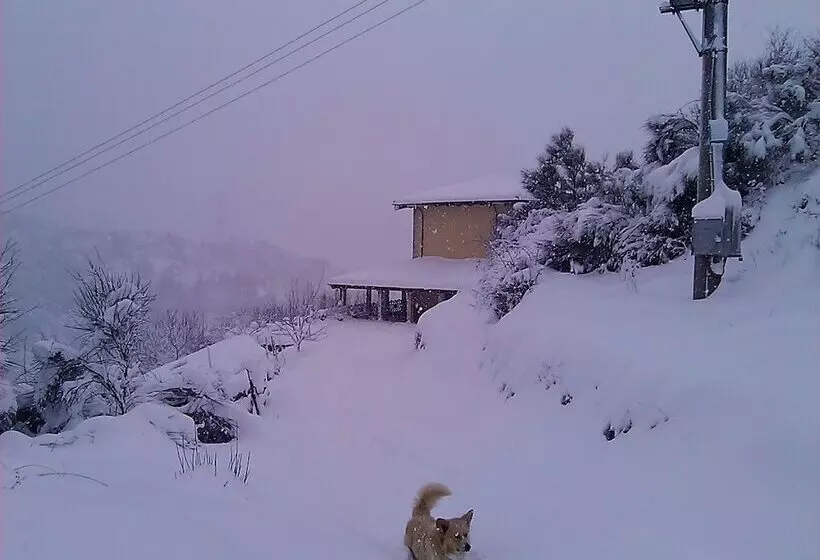 B&b Il Ghiro Country House