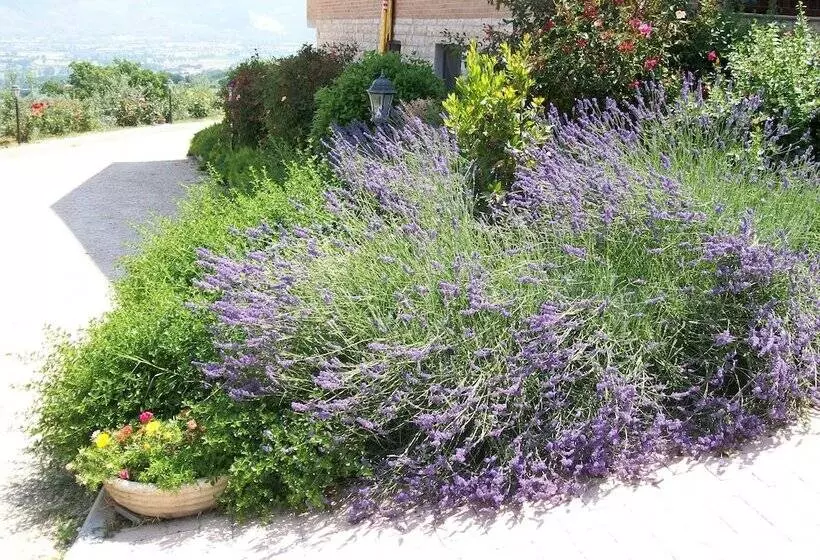 Aamiaismajoitus (B&B) La Collina Del Sagrantino