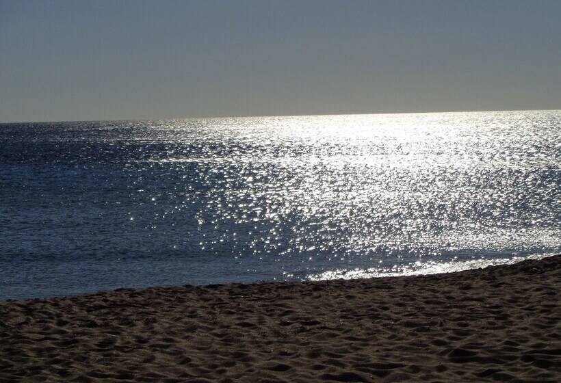 مسافرخانه Ristorante Pizzeria Le Voilier