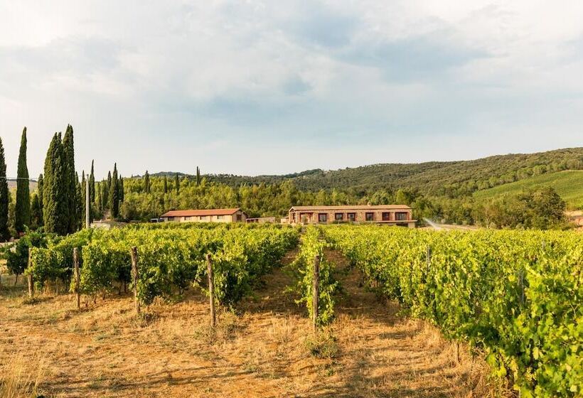 Сельский отель Agriturismo & Cantina Tenuta Casteani