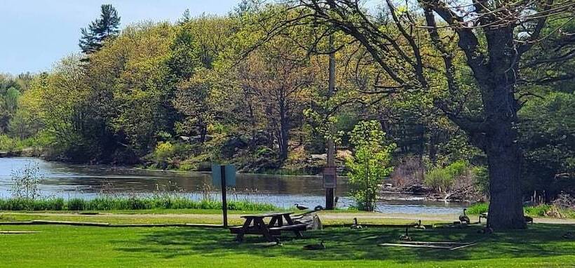 בית מלון כפרי Capt.'s Inn & Suites