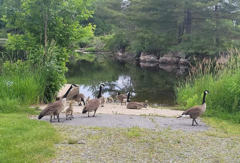 בית מלון כפרי Capt.'s Inn & Suites