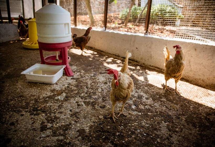 فندق ريفى Agriturismo Salinola