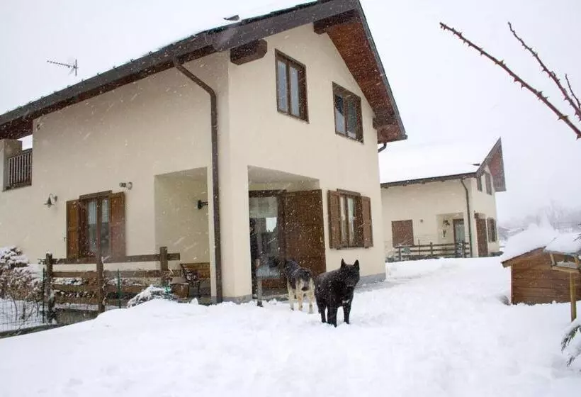 Trilly Bed & Breakfast