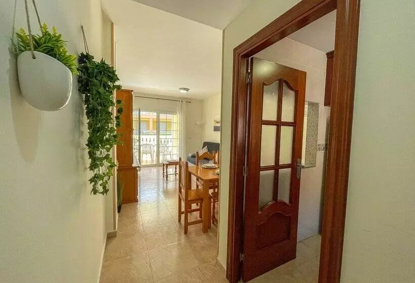 Apartamentos Madeira 3000