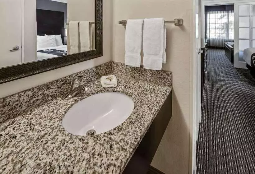 酒店 La Quinta By Wyndham Anaheim