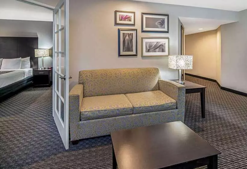 酒店 La Quinta By Wyndham Anaheim