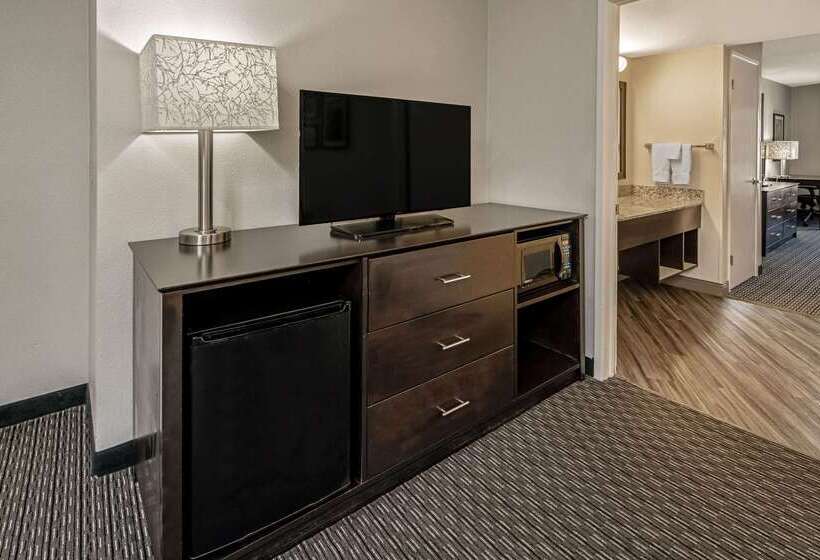 فندق La Quinta By Wyndham Anaheim