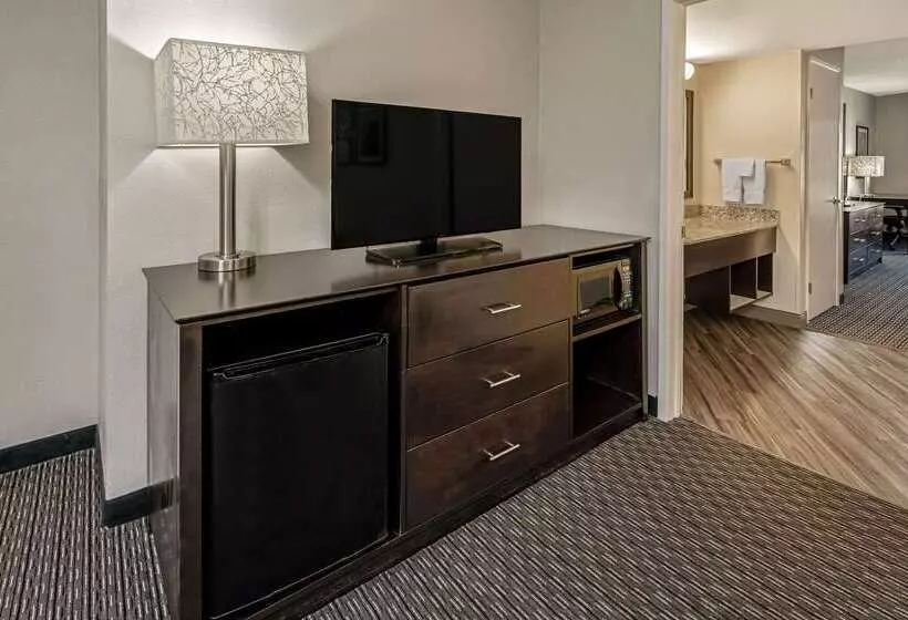 酒店 La Quinta By Wyndham Anaheim