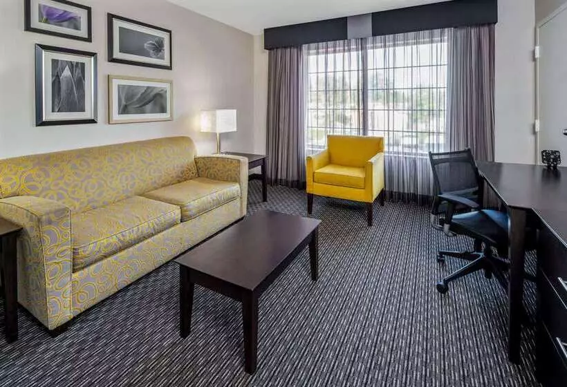 酒店 La Quinta By Wyndham Anaheim